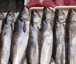 Spanish consumers prefer national fish
