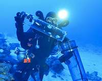 Portable chamber enables species from 150 metres to be studied