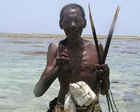 Indigenous people eat 15 times more seafood than non-indigenous people