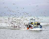 Deadly brawl aboard Taiwan fishing boat sparks rescue operation
