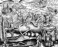 Giant cod and whales were once plentiful: researchers