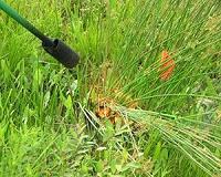 EU gives ground on weedkiller fears