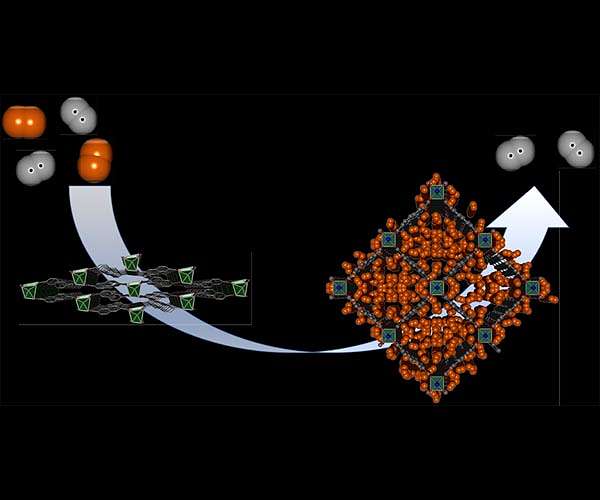 Flexible quantum sieve filters out the deuterium