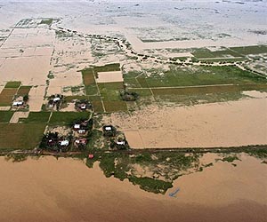 Typhoon wiped out third of Philippines' rice crop: UN
