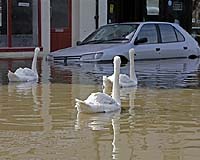 Floods Leave England Awash As Fires Burn Across Continental Europe