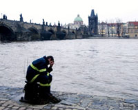 One third of Europe's freshwater fish face extinction: IUCN
