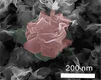 Superior hydrogen catalyst just grows that way