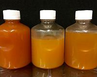 New genus of bacteria found living inside hydraulic fracturing wells
