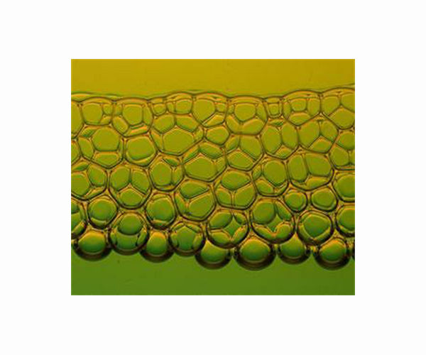 'Eco-friendly' foam may pose environmental, human health risks