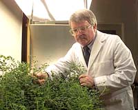 NASA Scientist Says Weak Microwaves Do Not Affect Plant Growth