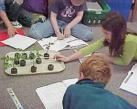 Tomatosphere: Tomato Seeds In Students' Hands, After 18 Months In Space