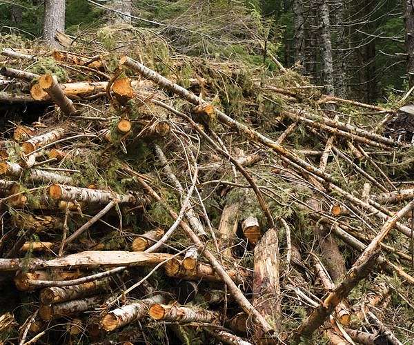 Shedding light on the dark side of biomass burning pollution