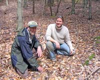 Decades Of Acid Rain Is Causing Loss Of Valuable Northeast Sugar Maples
