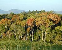 Quantifying the impact of climate on ecosystems worldwide