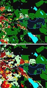 America's Public Forests Landlocked By Sea Of Development