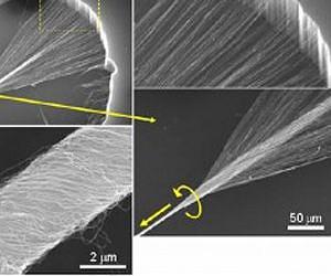 UBC researchers invent tiny artificial muscles with the strength, flexibility of elephant trunk