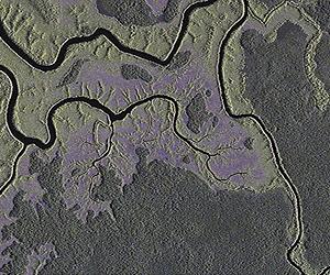 Forest Imaging In Gabon For UN