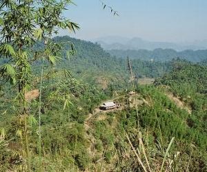 Developing Countries Often Outsource Deforestation