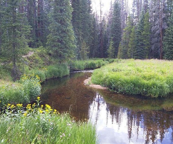 Parks and restoration: Climate change forces US policy shift