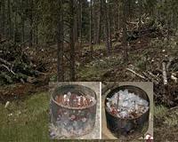 New perspective on agricultural plastic, debris burning, and air quality