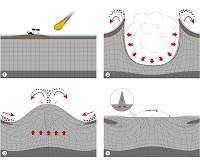 The formation of large meteorite craters is unraveled