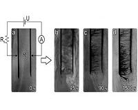 Nanotubes self-organize and wiggle: Evolution of a nonequilibrium system demonstrates MEPP