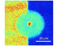 Diamonds and quantum information processing on the nano scale