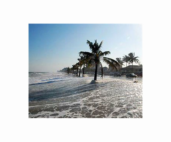 Barbados PM says failure to fund climate adaptation 'immoral'