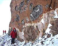 Ancient Creature Fossilized By The Bacteria That Ate It