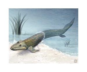 Oldest tetrapod tracks found in Poland