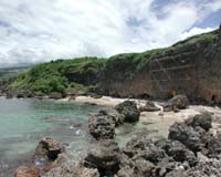 Scientists discover oldest reef constructed by animals