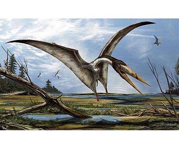 Paleontologists uncover fearsome 'dragon,' Australia's largest flying reptile