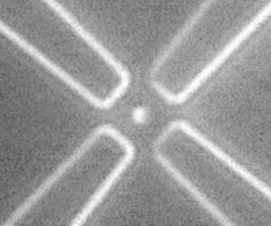 Particle trap paves way for personalized medicine