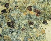 Iron-rich meteorites on Earth reveal geochemistry of solar system's youth