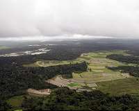 Improved functioning of diverse landscape mosaics