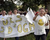 French Police Arrest Three As Hundreds Try To Destroy GM Crops