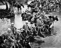Green legacy of WWI carnage: the riches of Verdun forest