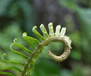 The Patterns Of Life Are Universal