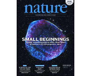 Cause of Supernova SN 1006 Revealed