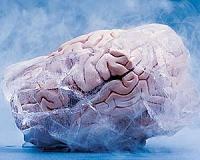 Study unveils changes in the brain during extended missions in space