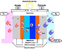 Ames Laboratory Researchers Solve Fuel-Cell Membrane Structure Conundrum