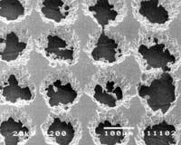 Cool Fuel Cells Could Revolutionize Earth's Energy Resources