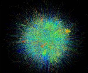 Genome-scale Network of Rice Genes to Speed the Development of Biofuel Crops