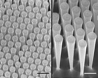 Learning by eye: Silicon micro-funnels increase the efficiency of solar cells