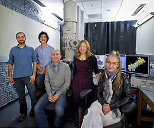 New Information on the Waste-Disposal Units of Living Cells