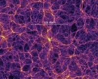 It's filamentary: How galaxies evolve in the cosmic web