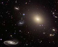 The Oddball Hosts Of Gamma-Ray Bursts