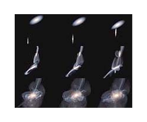 X-raying colliding stellar winds