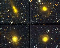 Galaxy Collisions Dominate The Local Universe
