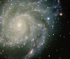 Homing in on supernova origins
